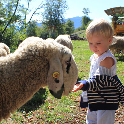 Agritur Maso Tobel